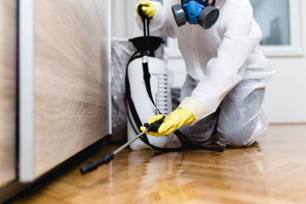 Best Affordable Pest Control Services  in Bicknell, IN