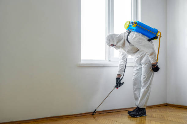 Best Termite Control Services  in Bicknell, IN