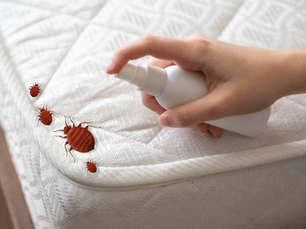 Best Commercial Pest Control Services  in Bicknell, IN