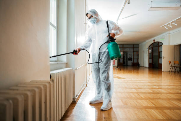 Best Local Pest Control Services  in Bicknell, IN
