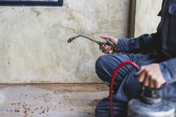 Best Wasp Removal Services  in Bicknell, IN